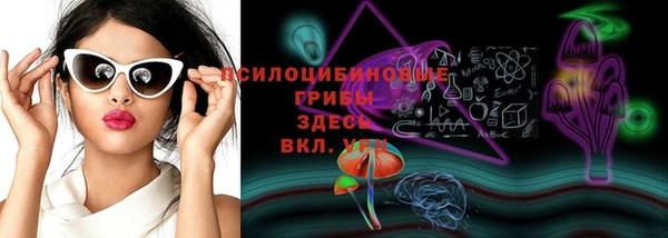 метадон Арсеньев