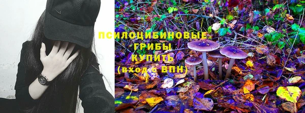 метадон Арсеньев