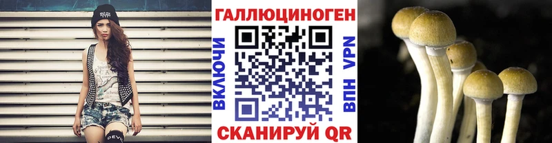 Псилоцибиновые грибы мицелий  где можно купить   МЕГА онион  Светогорск 
